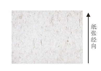 纸张经向 纸张经向