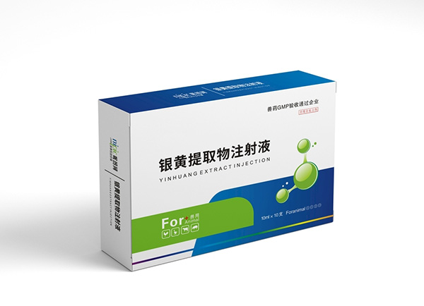 午夜无码伦费影视在线观看果冻