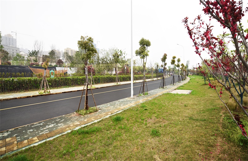 午夜无码伦费影视在线观看果冻