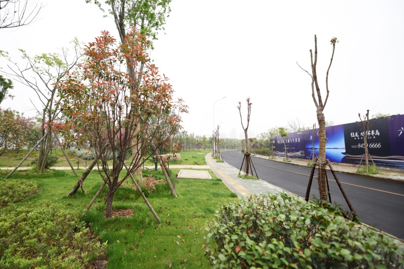 午夜无码伦费影视在线观看果冻