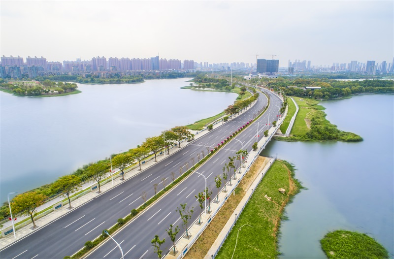 午夜无码伦费影视在线观看果冻