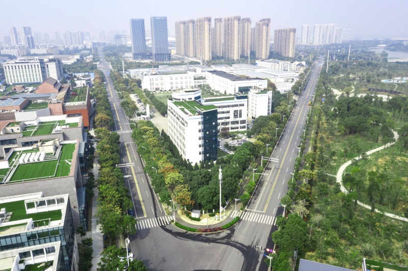 午夜无码伦费影视在线观看果冻