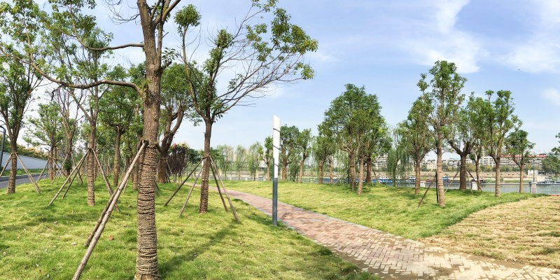 午夜无码伦费影视在线观看果冻