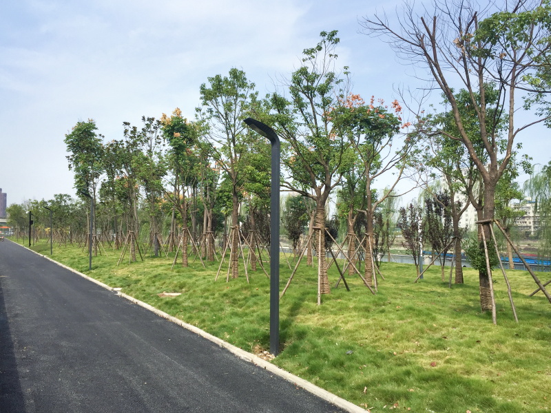 午夜无码伦费影视在线观看果冻