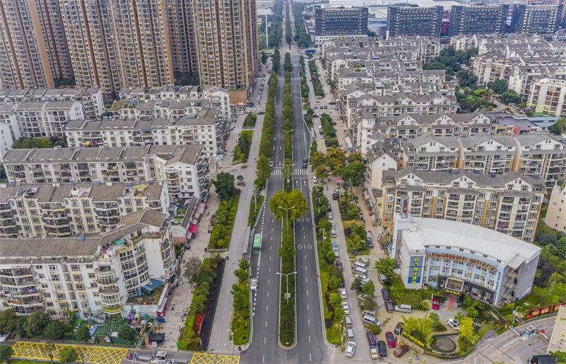 午夜无码伦费影视在线观看果冻