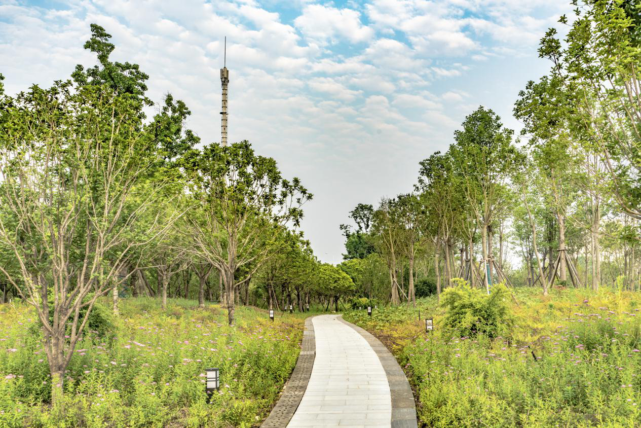 午夜无码伦费影视在线观看果冻