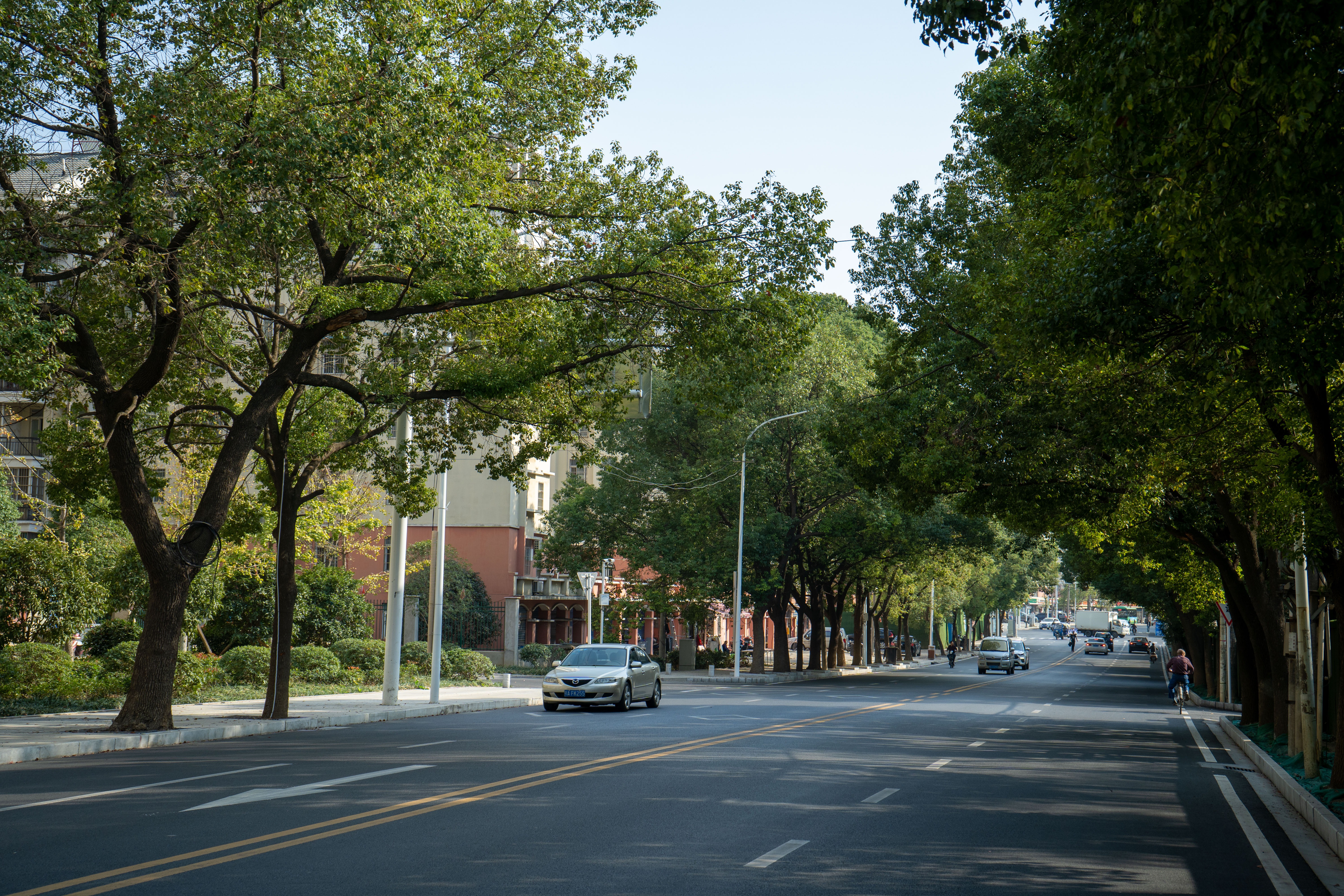 午夜无码伦费影视在线观看果冻