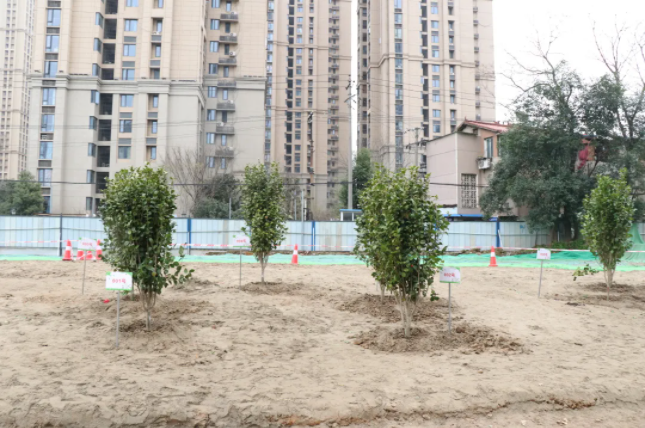 午夜无码伦费影视在线观看果冻