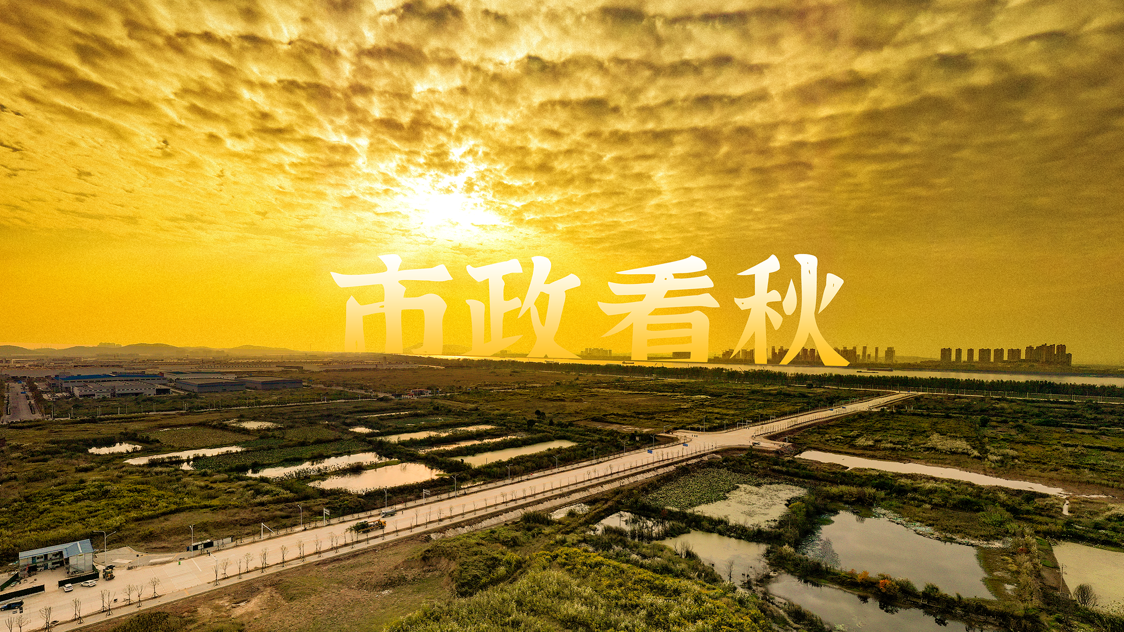 午夜无码伦费影视在线观看果冻