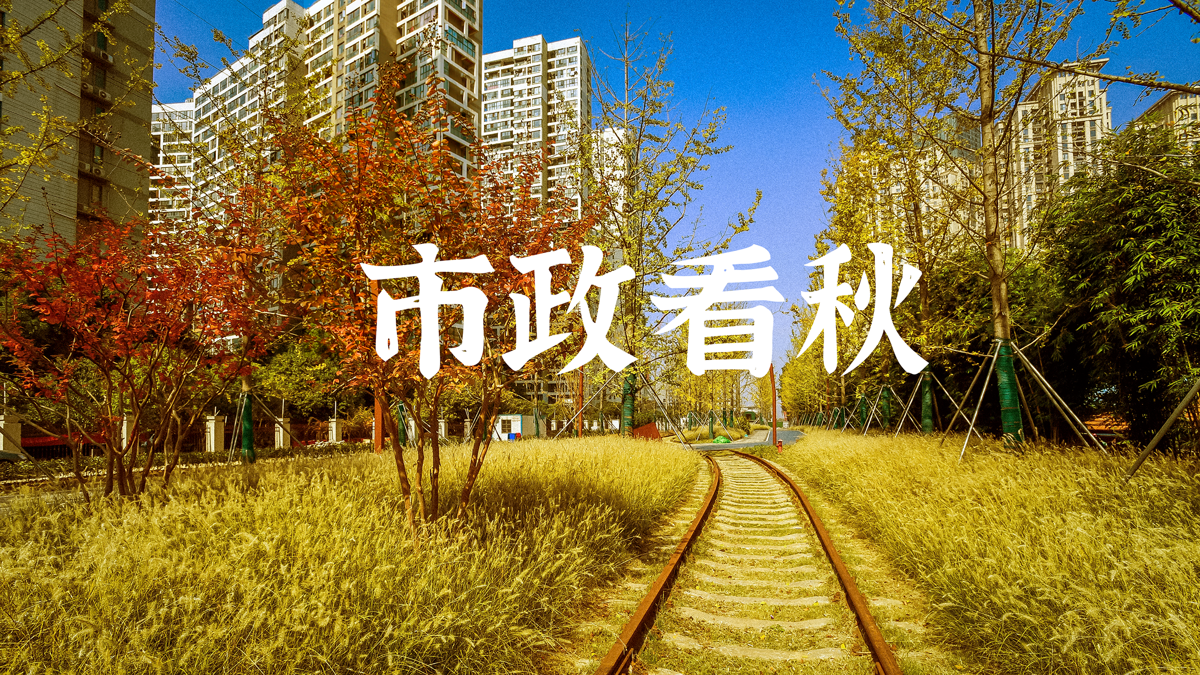 午夜无码伦费影视在线观看果冻