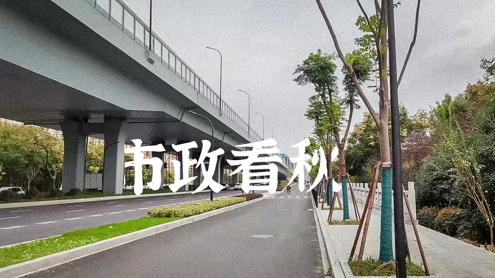 午夜无码伦费影视在线观看果冻