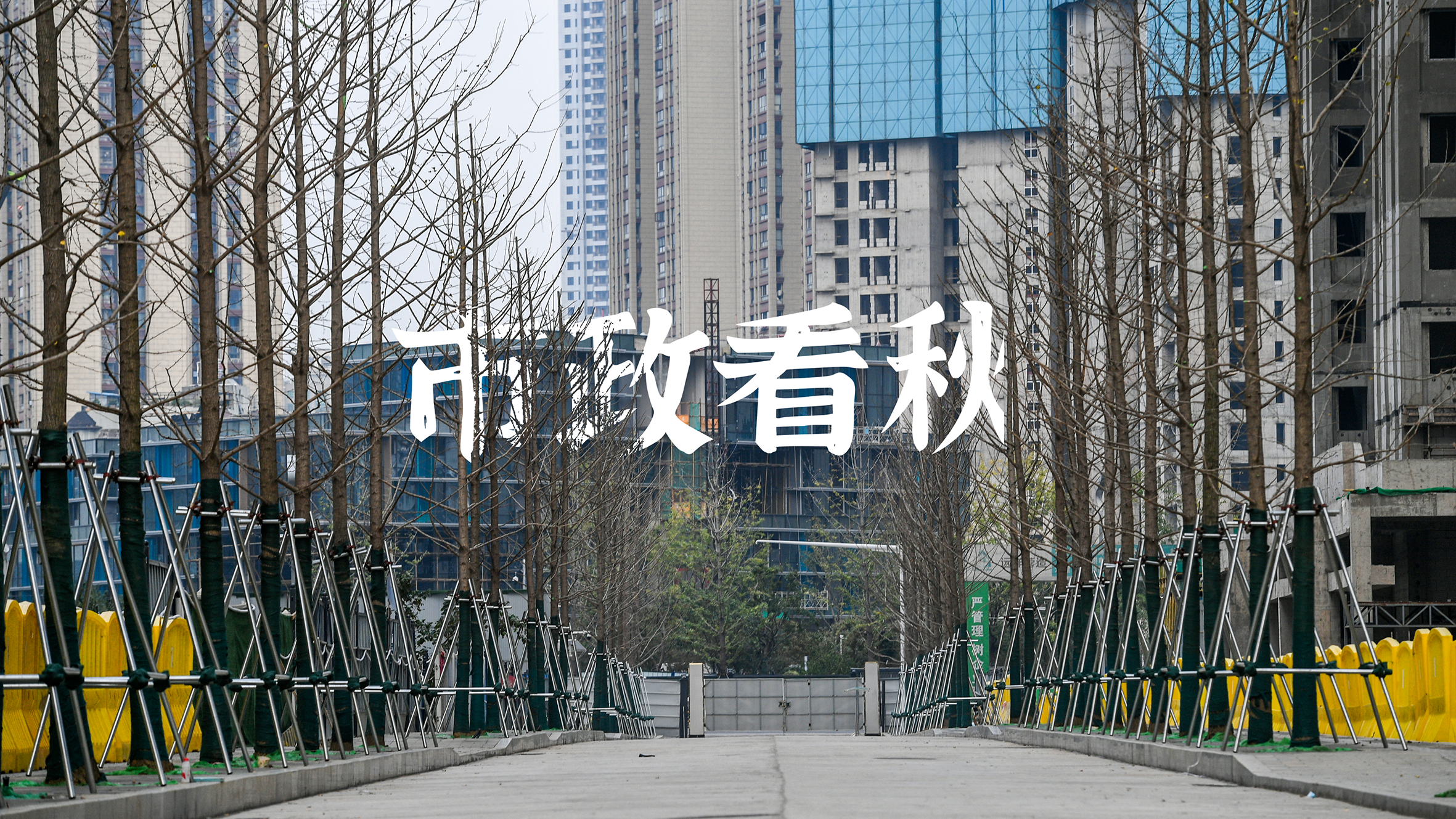 午夜无码伦费影视在线观看果冻