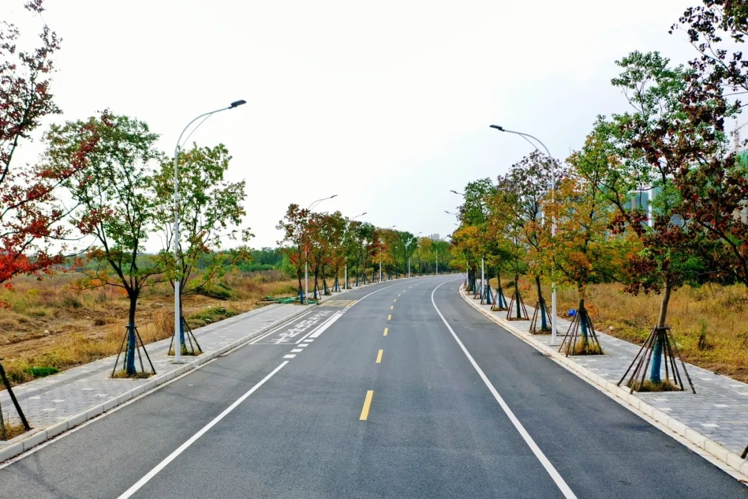 午夜无码伦费影视在线观看果冻