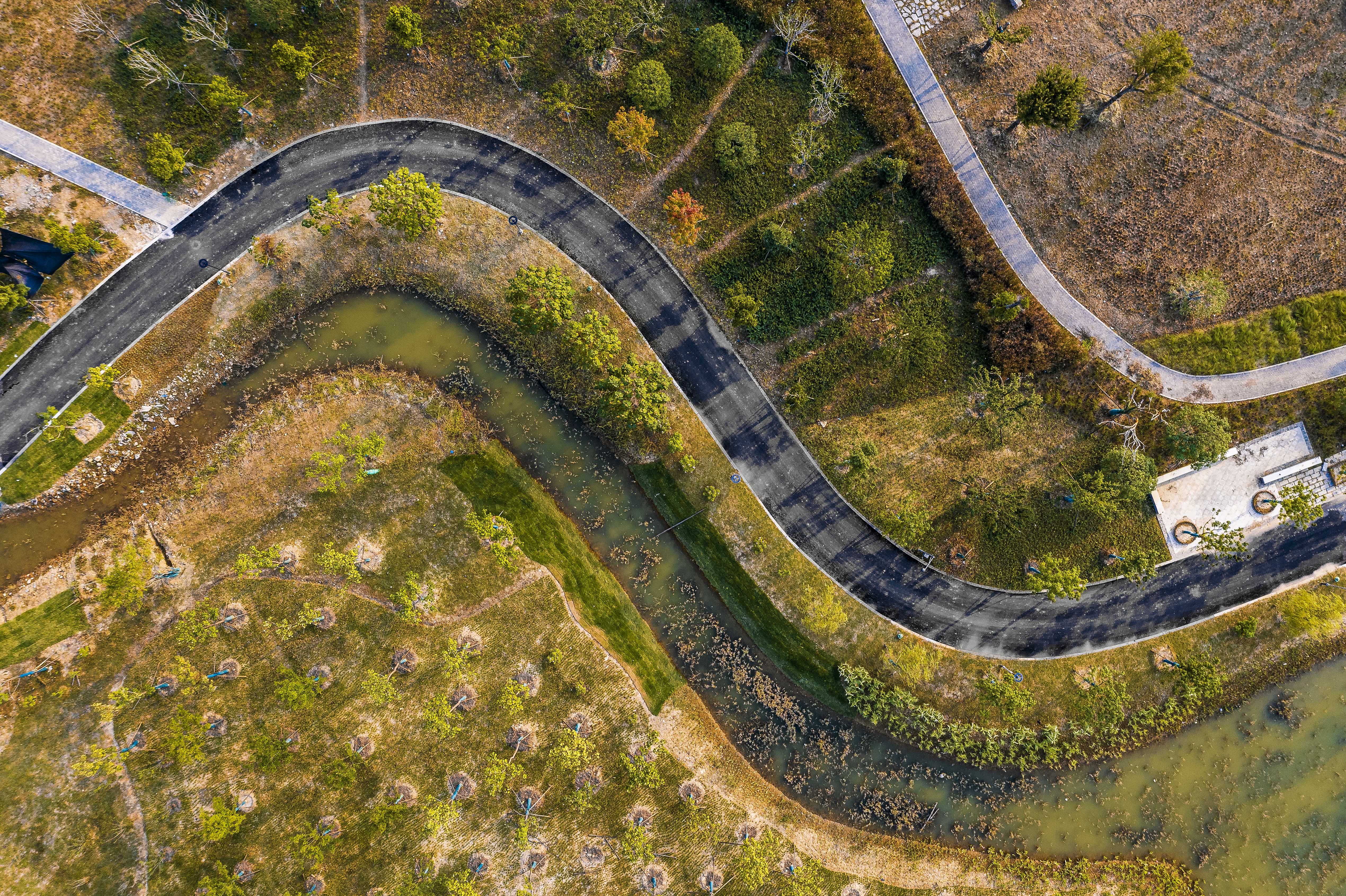 午夜无码伦费影视在线观看果冻