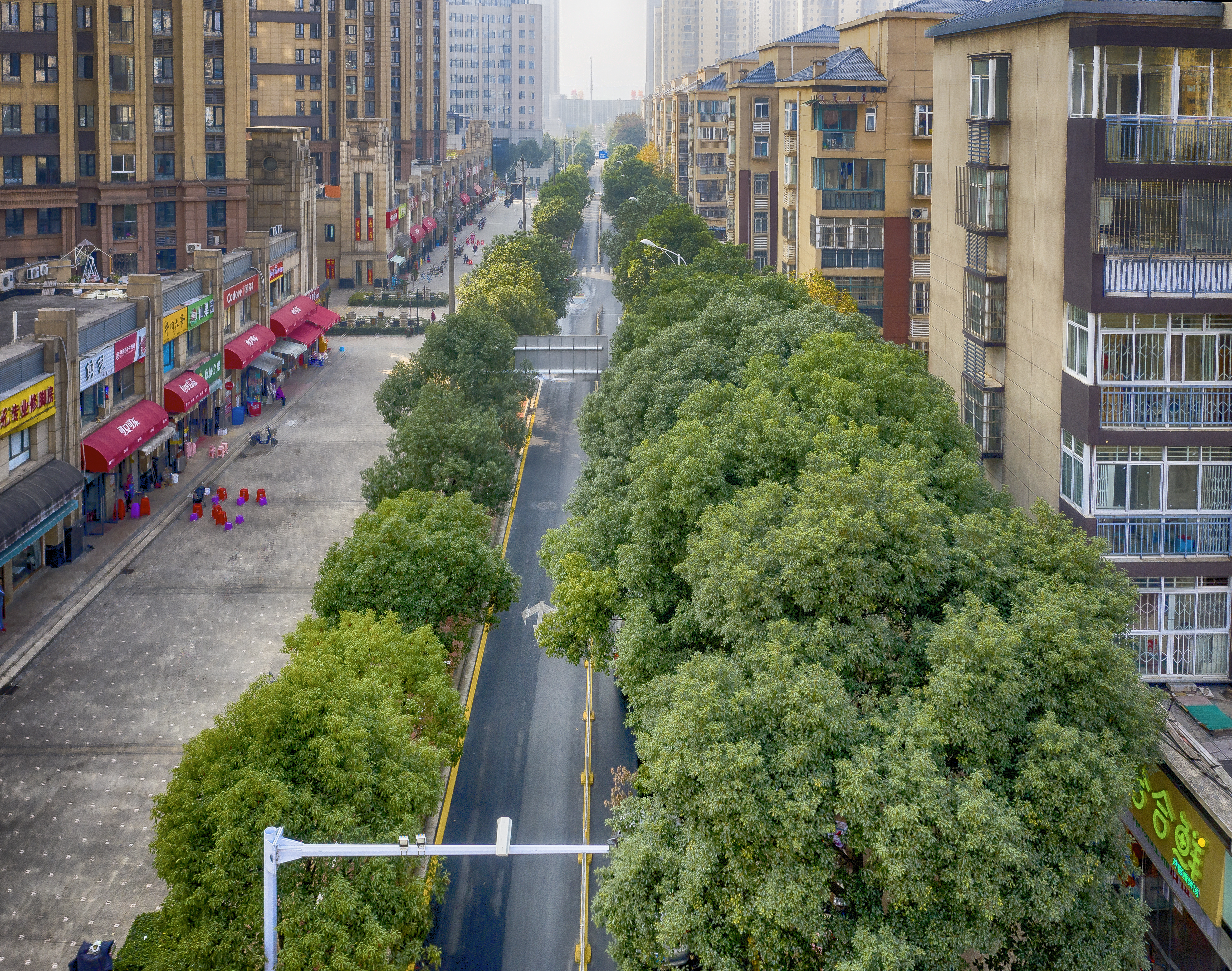 午夜无码伦费影视在线观看果冻