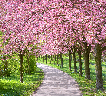 午夜无码伦费影视在线观看果冻