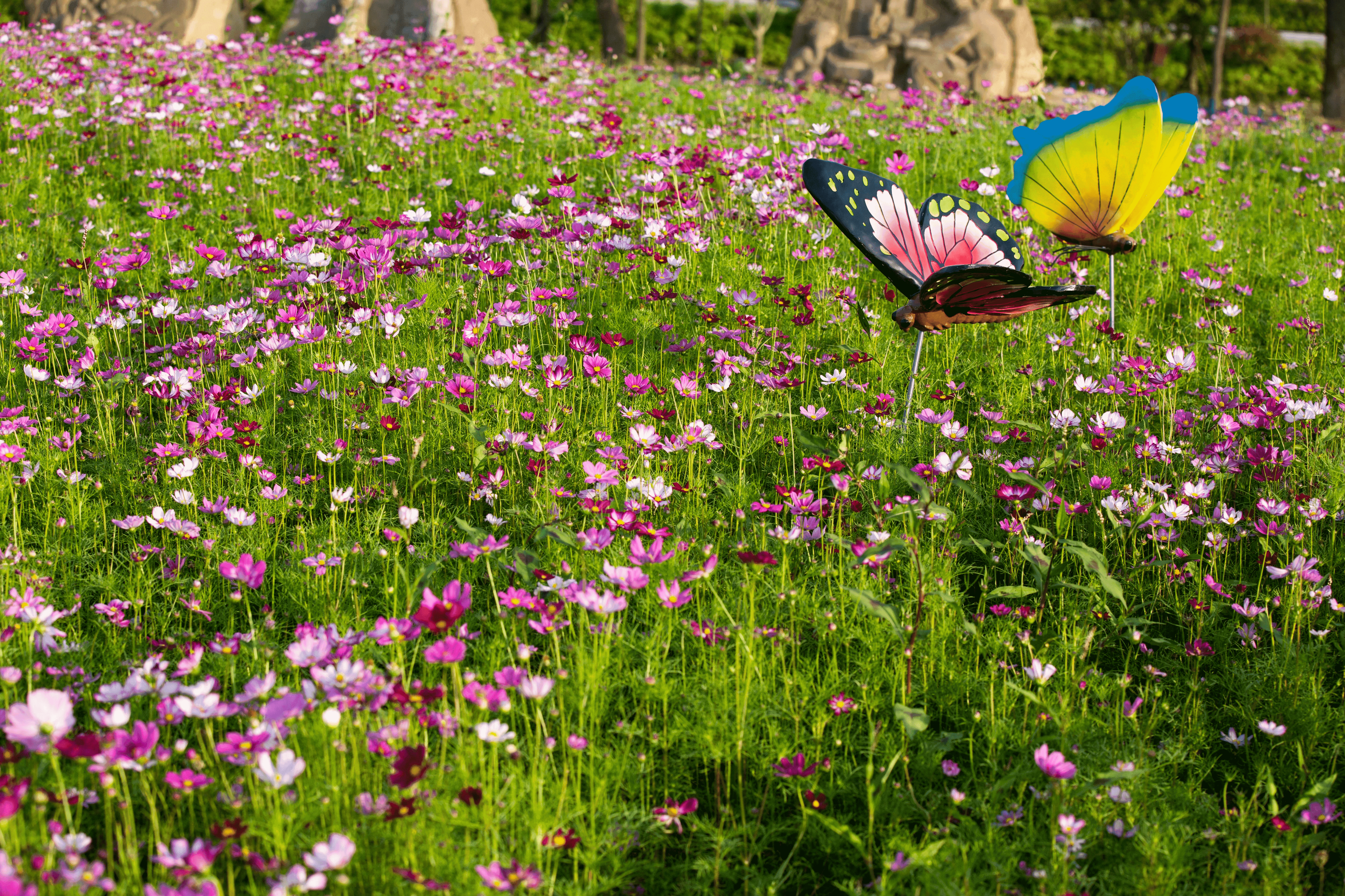 午夜无码伦费影视在线观看果冻