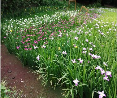 午夜无码伦费影视在线观看果冻