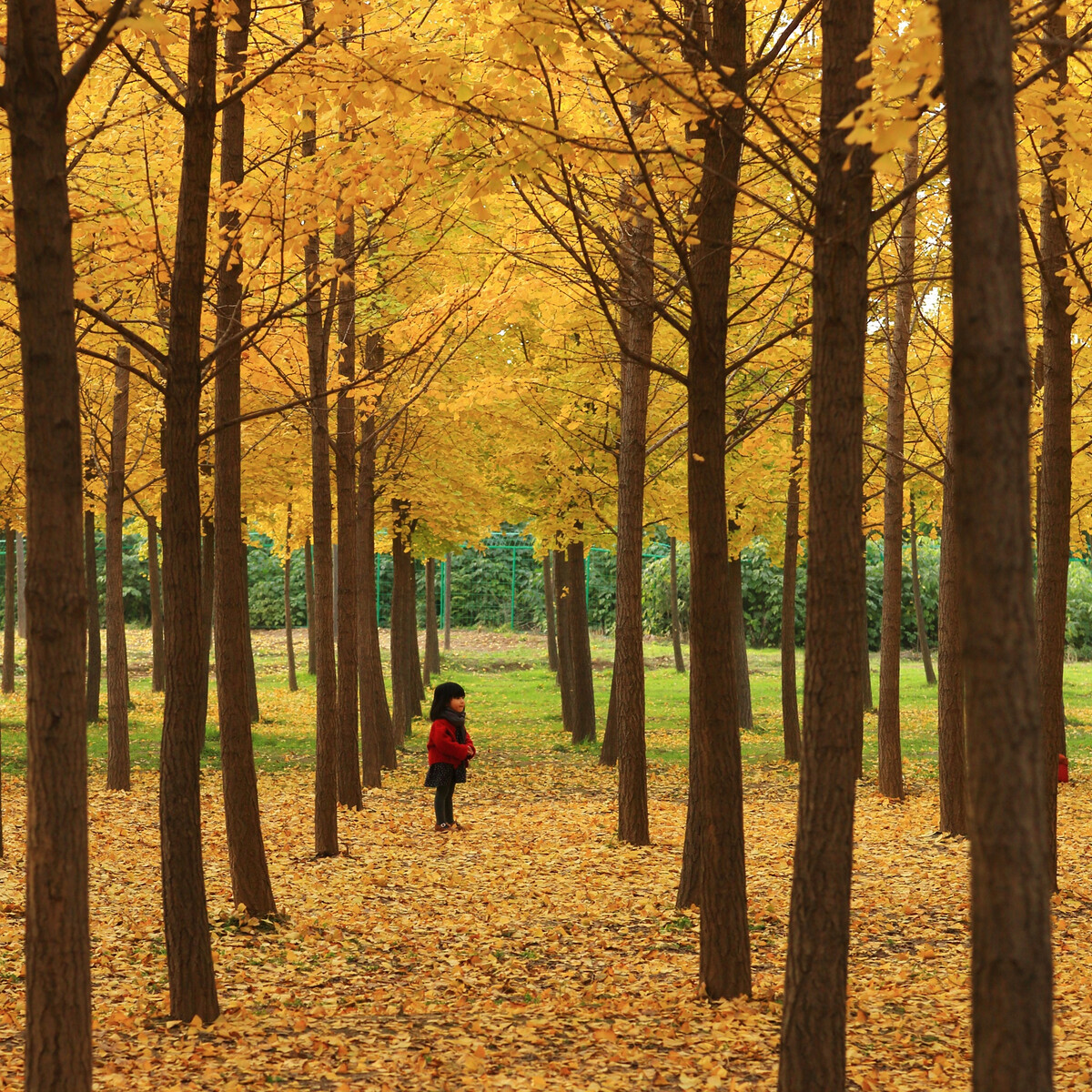 午夜无码伦费影视在线观看果冻