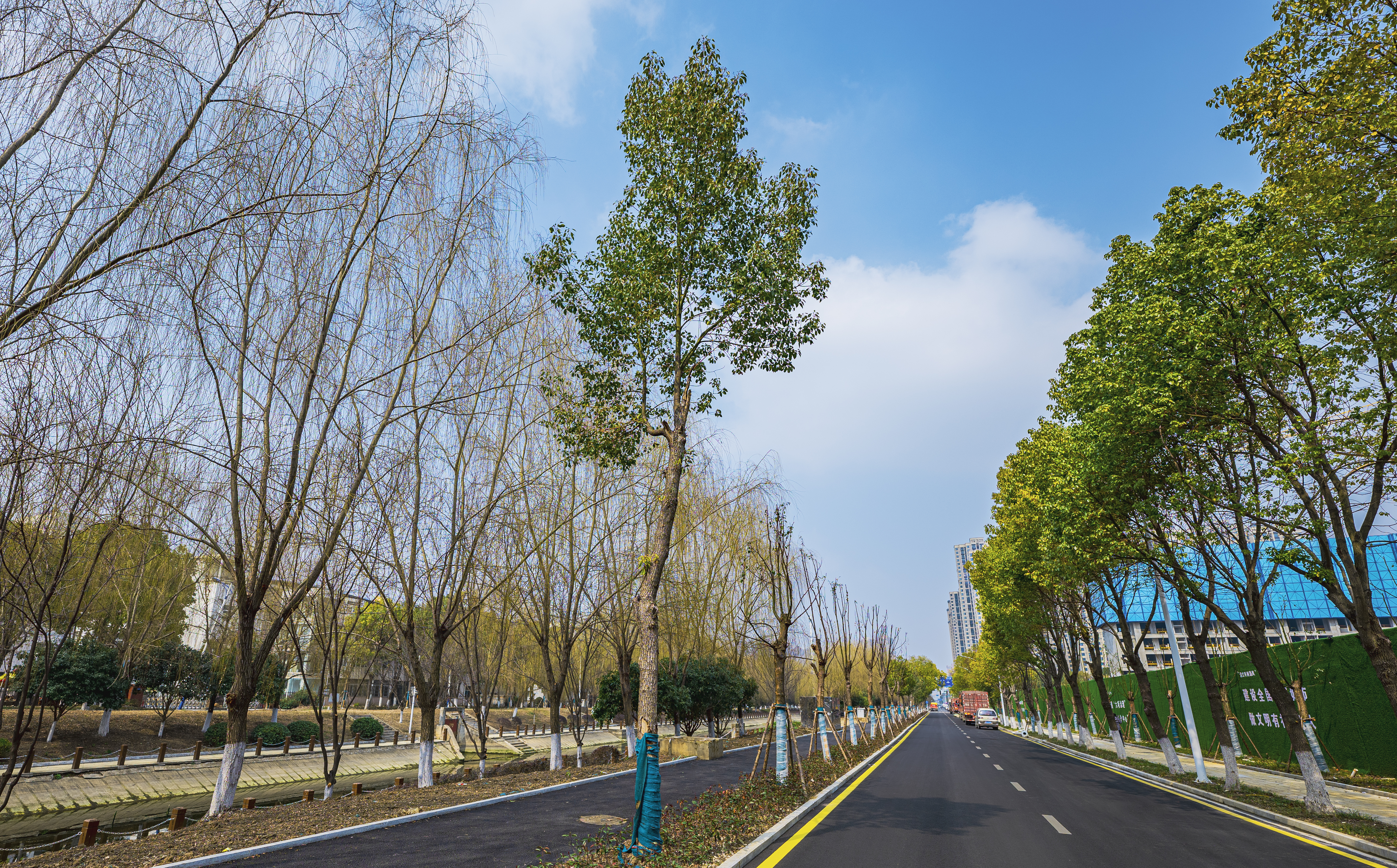 午夜无码伦费影视在线观看果冻