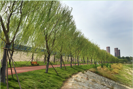 午夜无码伦费影视在线观看果冻