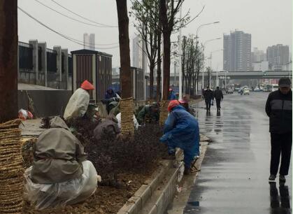 午夜无码伦费影视在线观看果冻