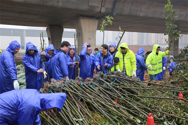 午夜无码伦费影视在线观看果冻