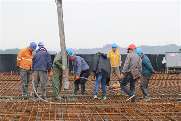 午夜无码伦费影视在线观看果冻