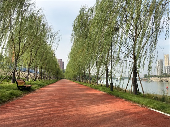 午夜无码伦费影视在线观看果冻