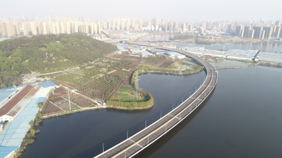 午夜无码伦费影视在线观看果冻