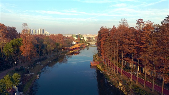 午夜无码伦费影视在线观看果冻