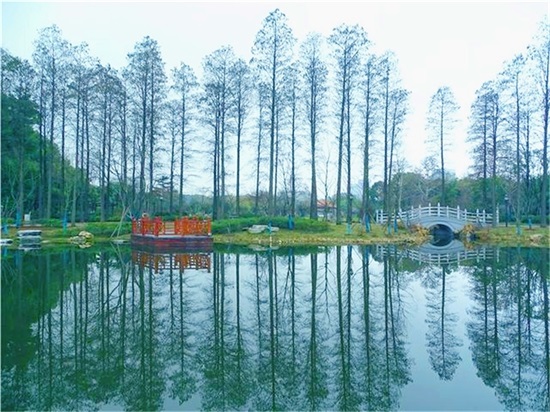 午夜无码伦费影视在线观看果冻