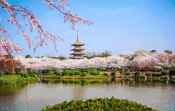 午夜无码伦费影视在线观看果冻