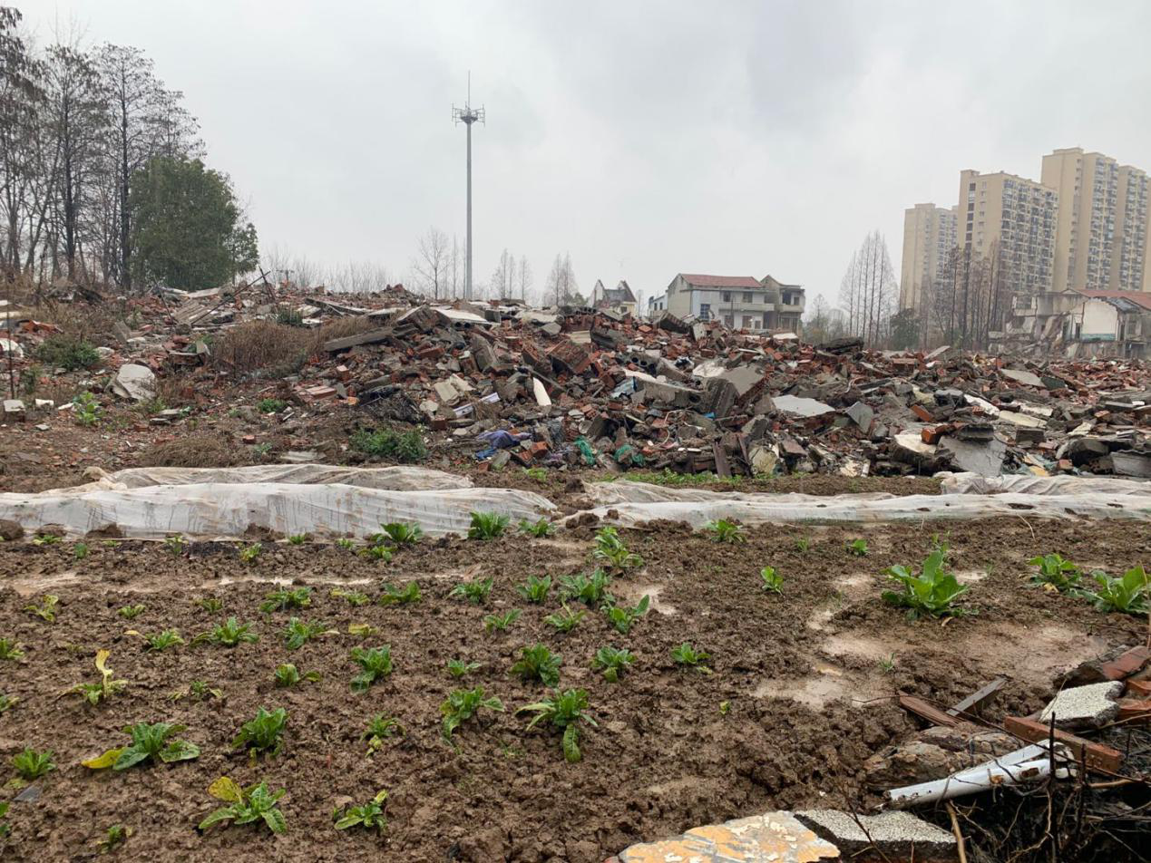 午夜无码伦费影视在线观看果冻