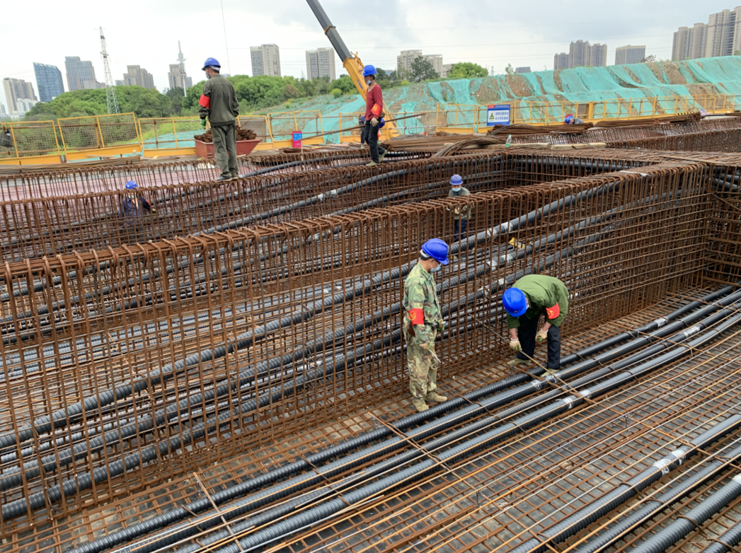 午夜无码伦费影视在线观看果冻