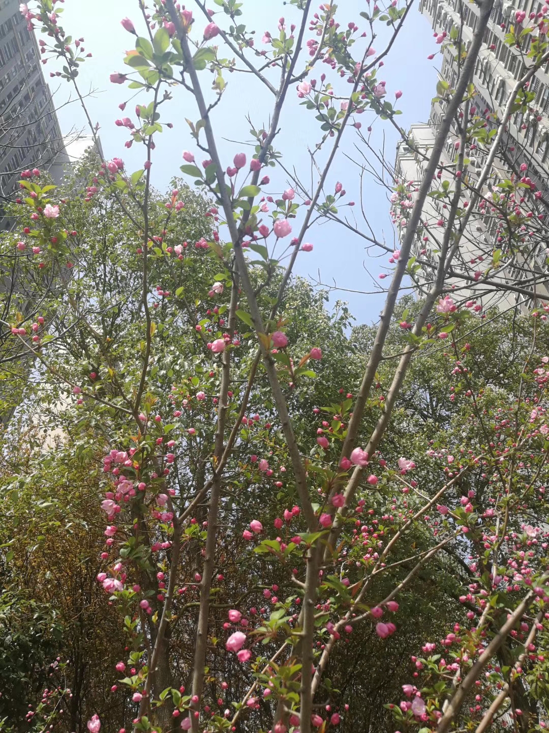 午夜无码伦费影视在线观看果冻