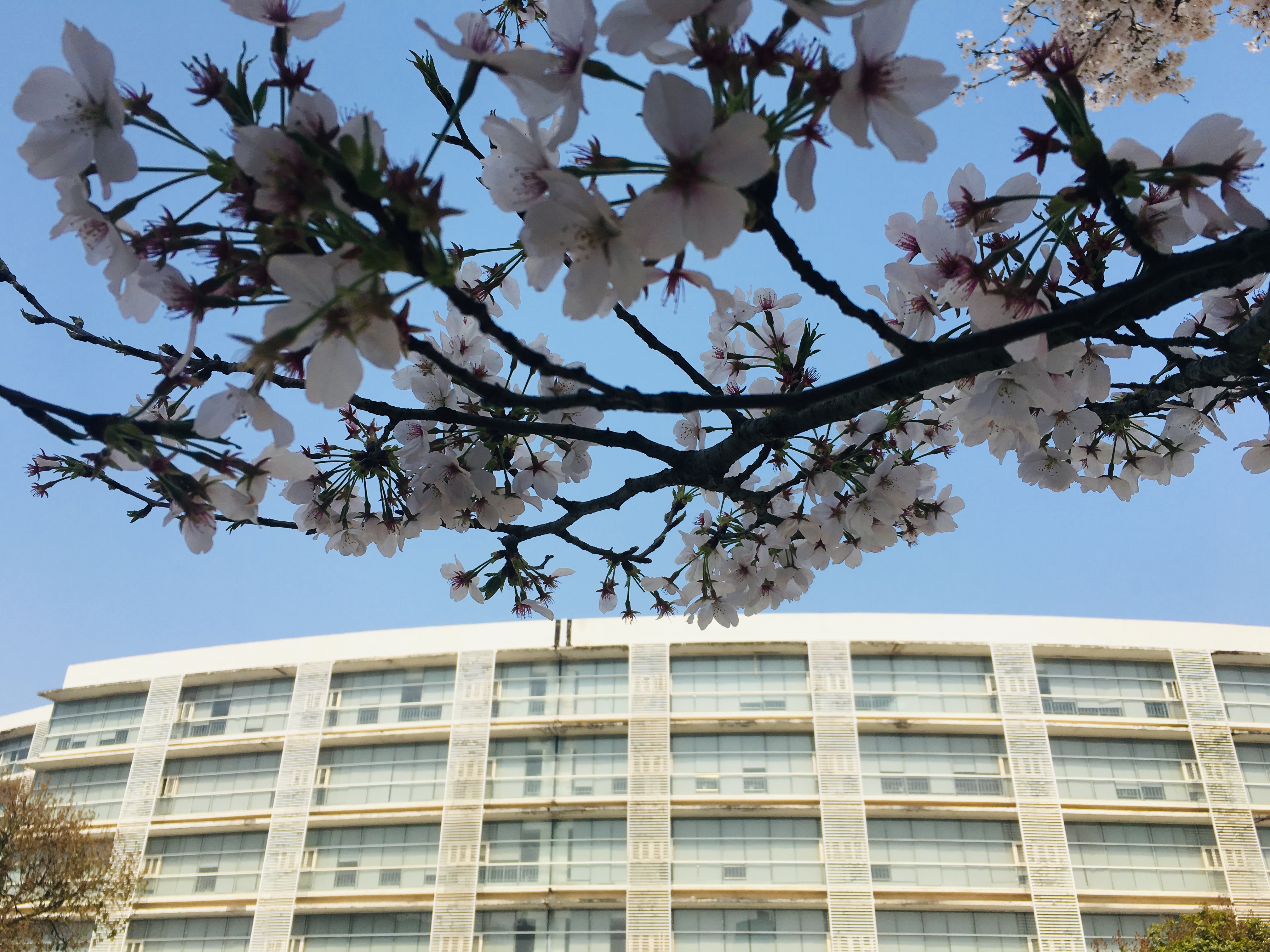 午夜无码伦费影视在线观看果冻