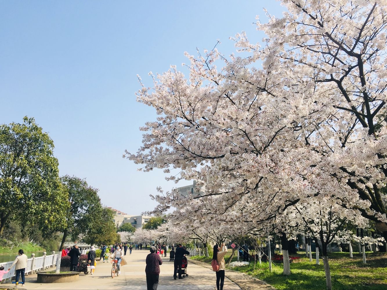 午夜无码伦费影视在线观看果冻