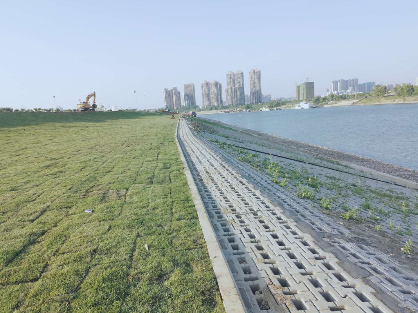 午夜无码伦费影视在线观看果冻